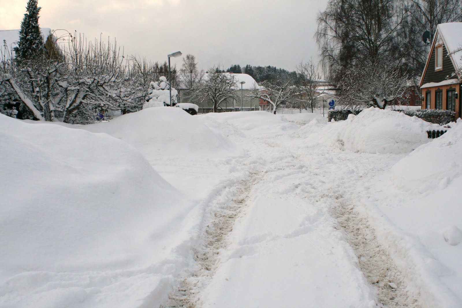 [IMG_1285.jpg]