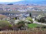 Bierzo View