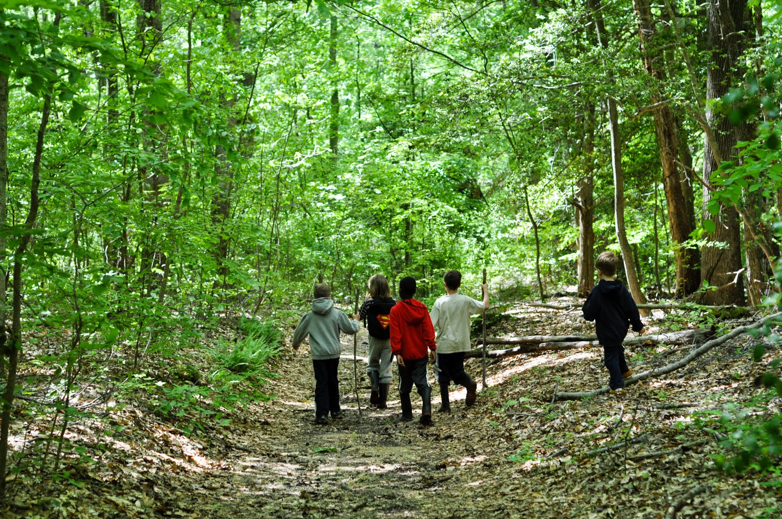 Purse State Park Fossil Hunt (and those ears!)