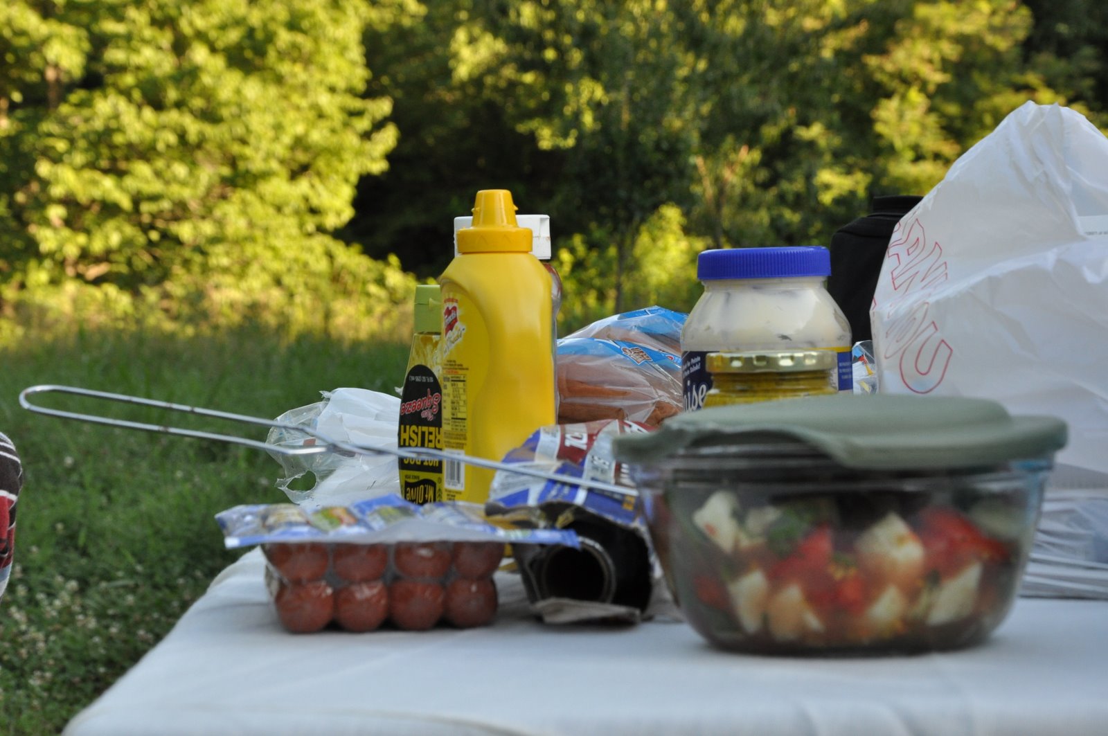[DSC_0053.JPG]
