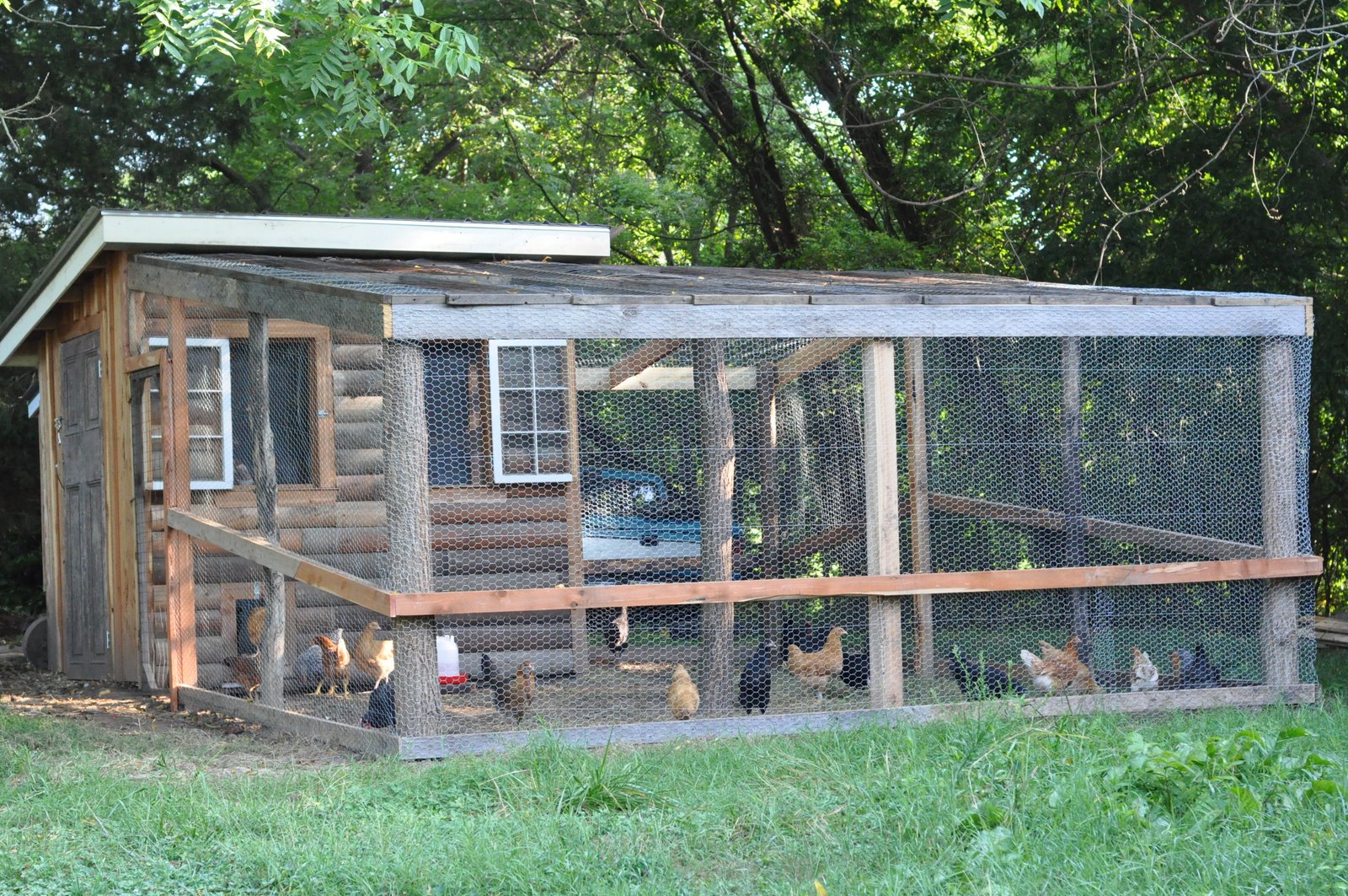 [DSC_0006.JPG]