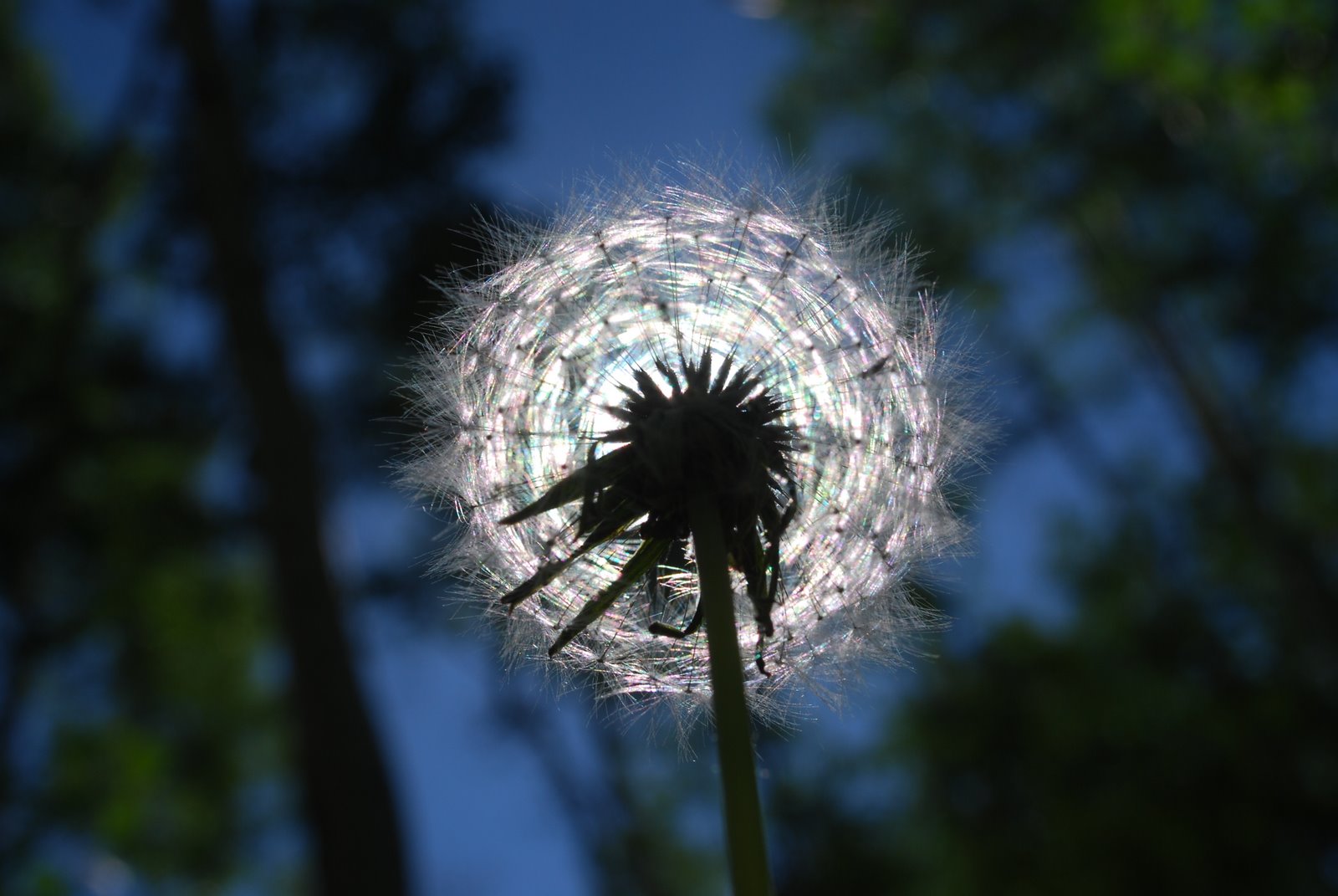 [DSC_0747.JPG]