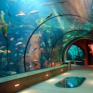 Newport Aquarium Oregon