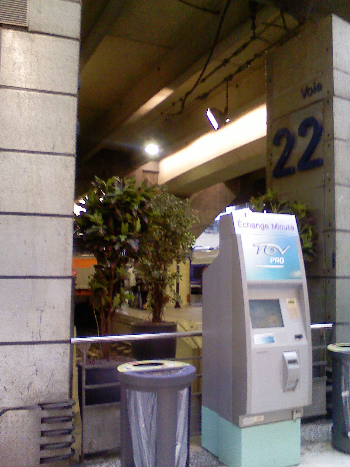 [plantes-vertes-quai-21-22.jpeg]