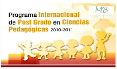 Experiencia Docente Internacional