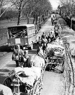 [1940-convoi-hippo.JPG]