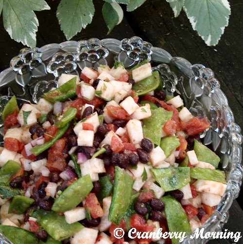 Cranberry Morning Jicama Salad with Black Beans