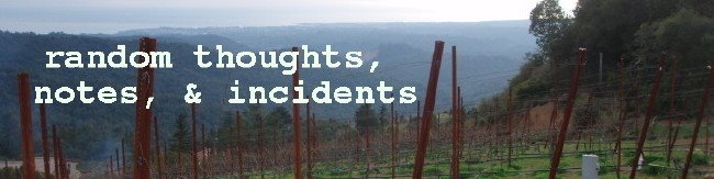Random Thoughts, Notes, & Incidents
