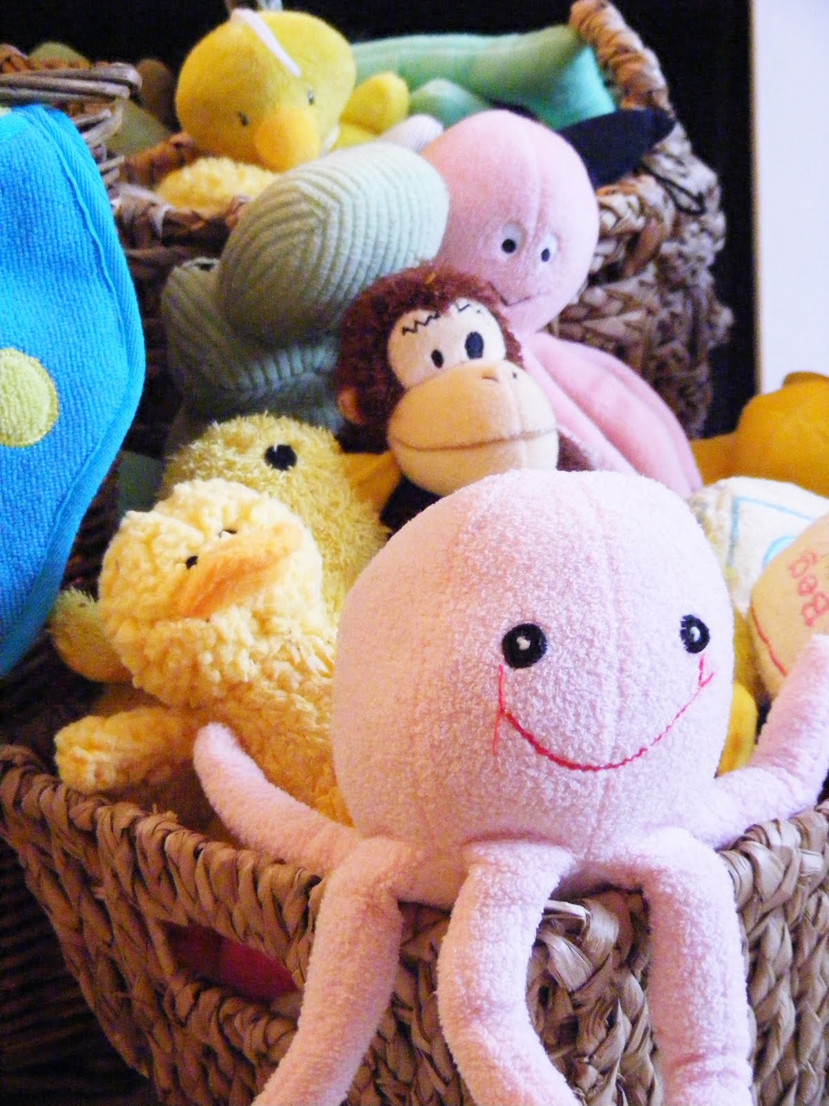 Organizing and Storing Dog Toys