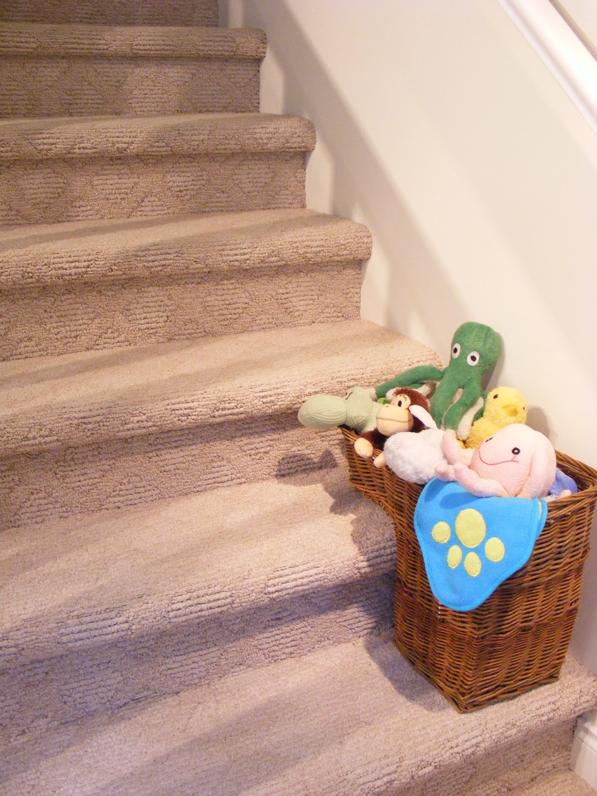 Organizing and Storing Dog Toys