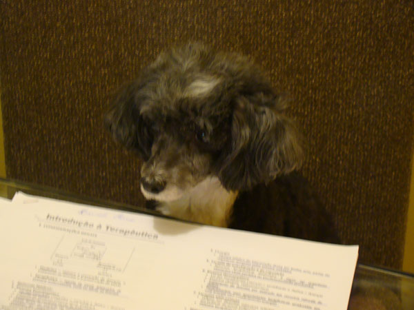 [delly+estudando+2.jpg]