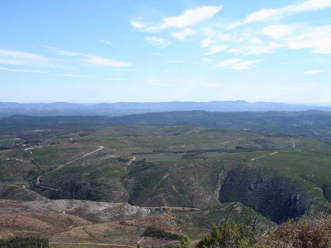 [DSC01518.JPG]