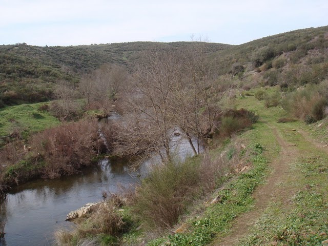 [DSC01745.JPG]
