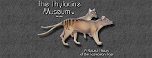 The Thylacine Museum