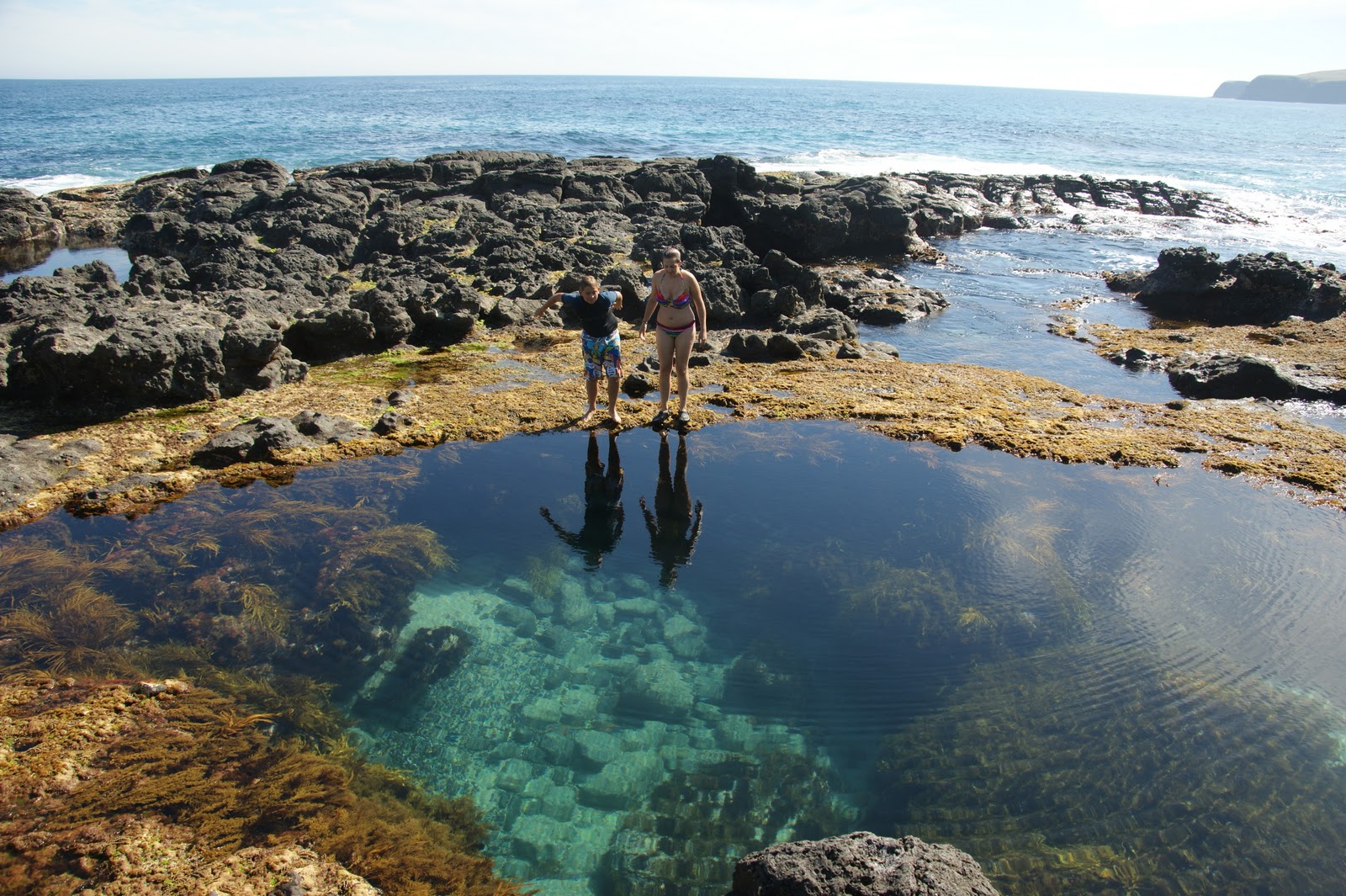 Day to Day View: Carey Green rock pools...Cape Schank January 20th