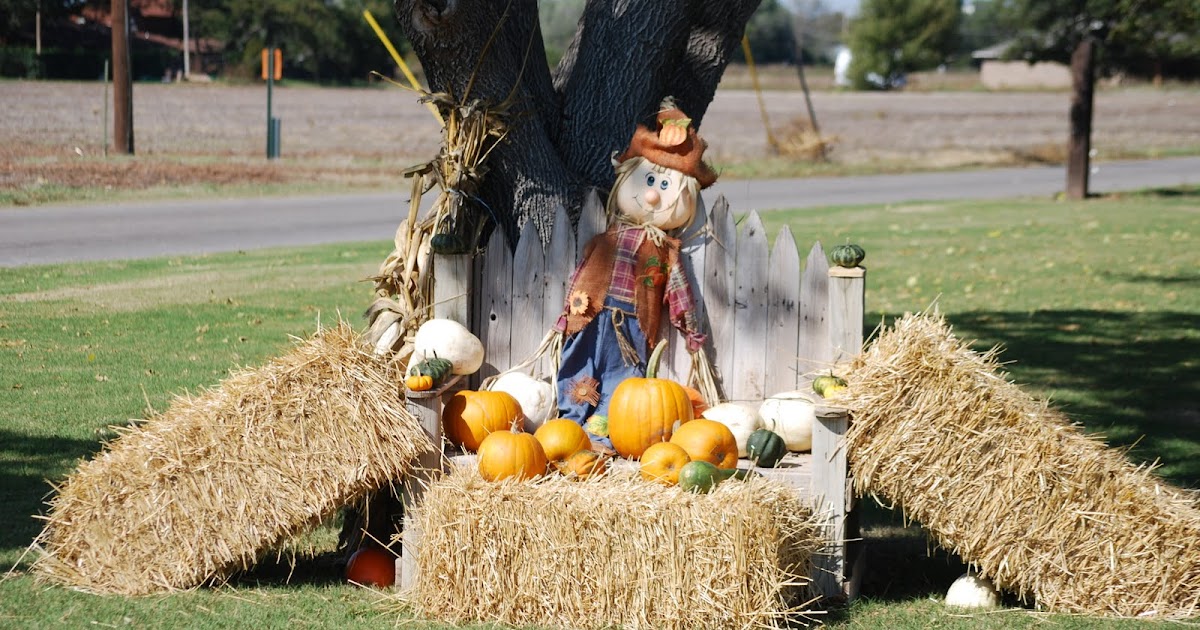 Shine Like Stars A Scarecrow in a Melon Patch