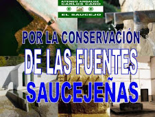 POR EL ESTUDIO Y CONSERVACIÓN DE LAS FUENTES SAUCEJEÑAS