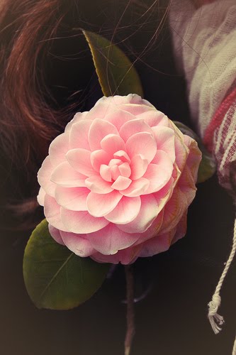 [pink+flower+copy.jpg]