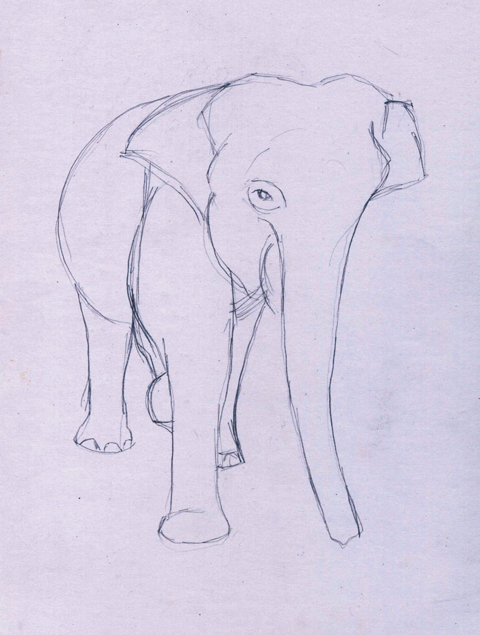 Cara Membuat Gambar 3d Hewan | menggambar gajah belajar menggambar Cara Membuat Gambar 3d Hewan | menggambar gajah belajar menggambar