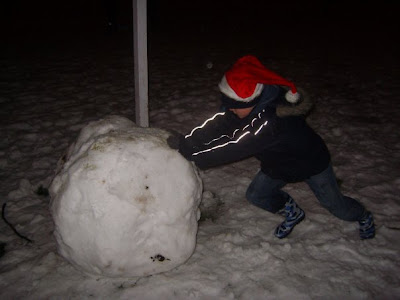 Biggest Snowball