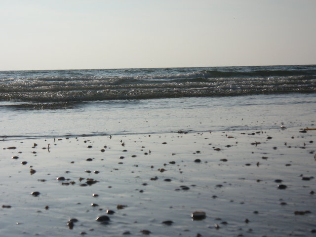 [IMG_3154.JPG]