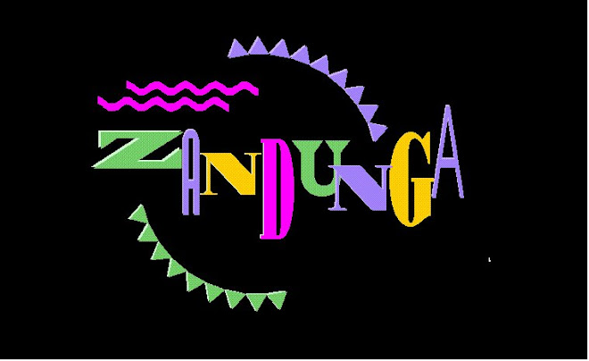 ZANDUNGA TE ENFIESTA