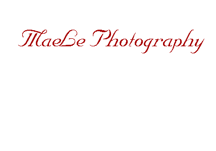Maele Photography
