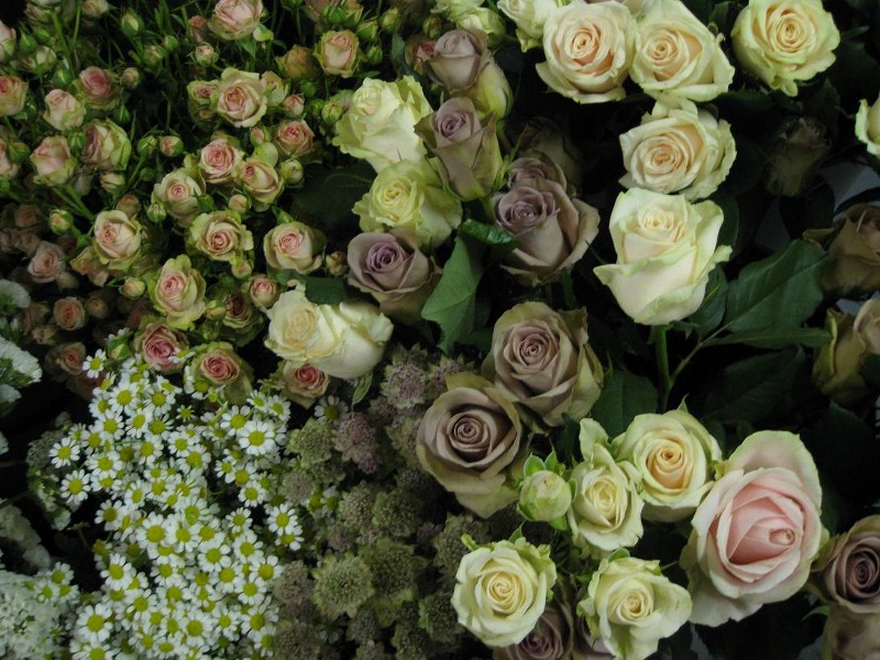 Angela and Robbies beautiful vintage wedding Angela and Robbies beautiful vintage wedding