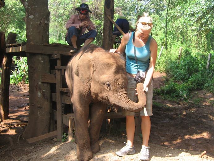 The baby elephants are so cute. He only gave me the time of day because he thought I had food.