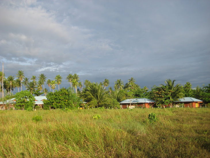 The island is green