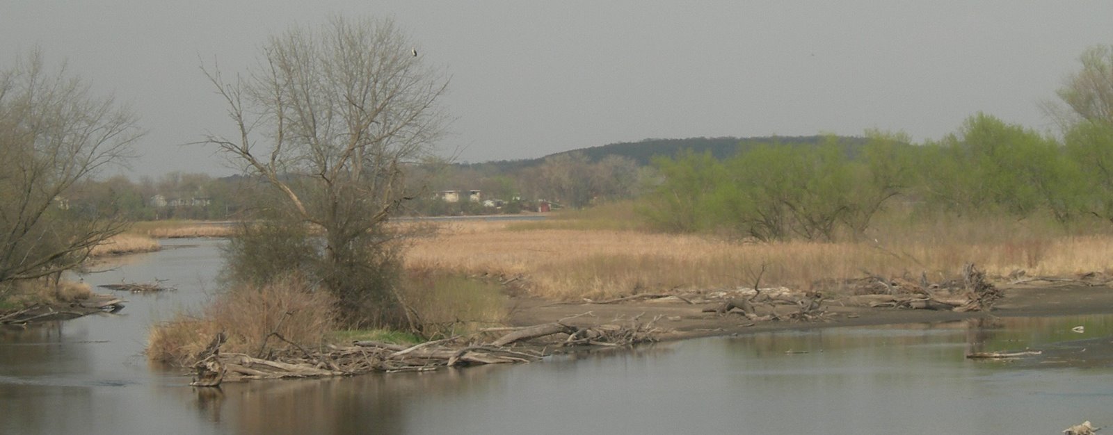 [DSCN3726.JPG]