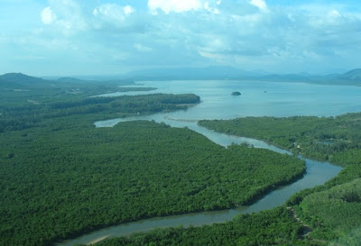Phuket from the air - Mangroves in the north east of Phuket