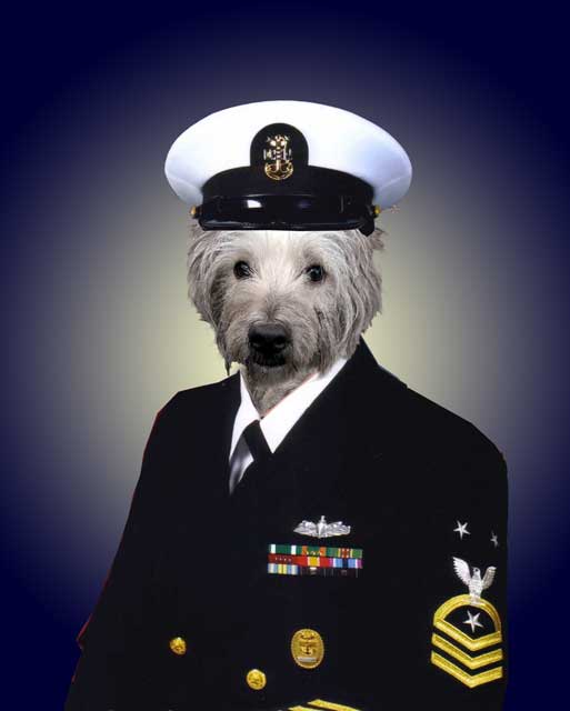 Lords Of Apathy LOA PiCTURE OF THE DAY DOG IN A NAVAL OFFICER'S UNIFORM