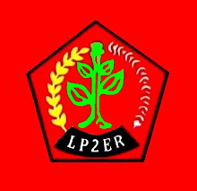 Logo LP2ER