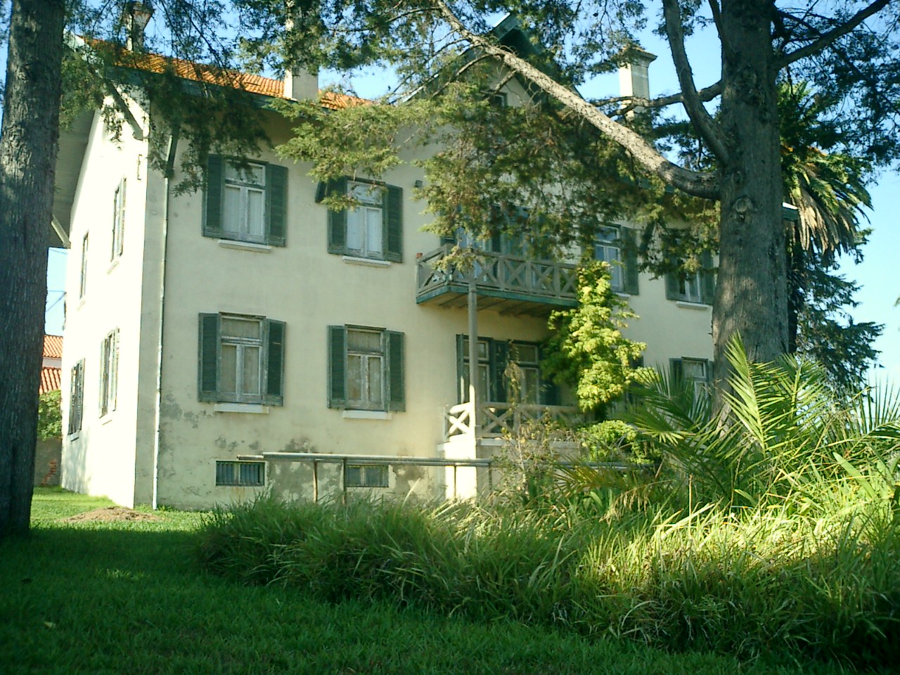 [CIMG0173.JPG]