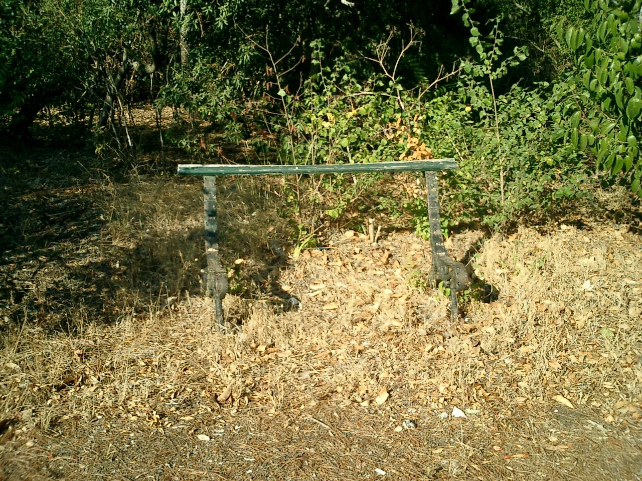 [CIMG0187.JPG]