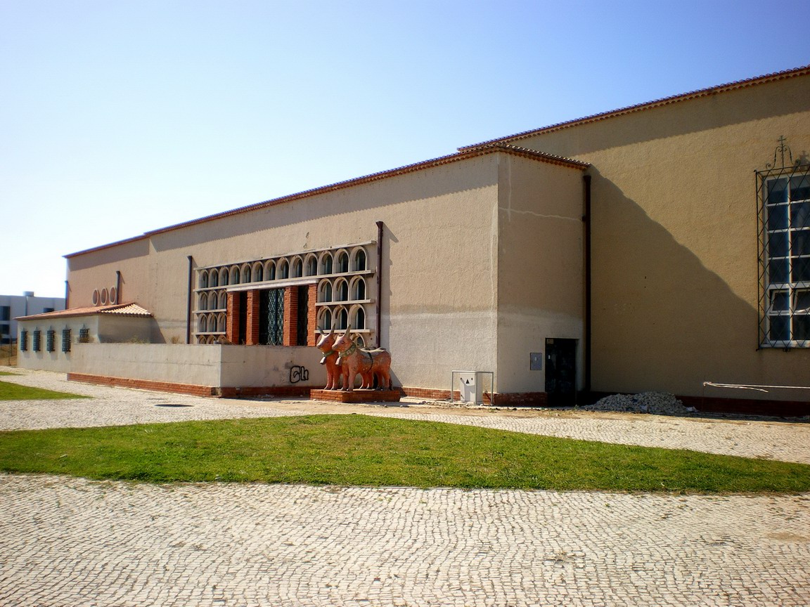 [IMGP3568_resize.JPG]