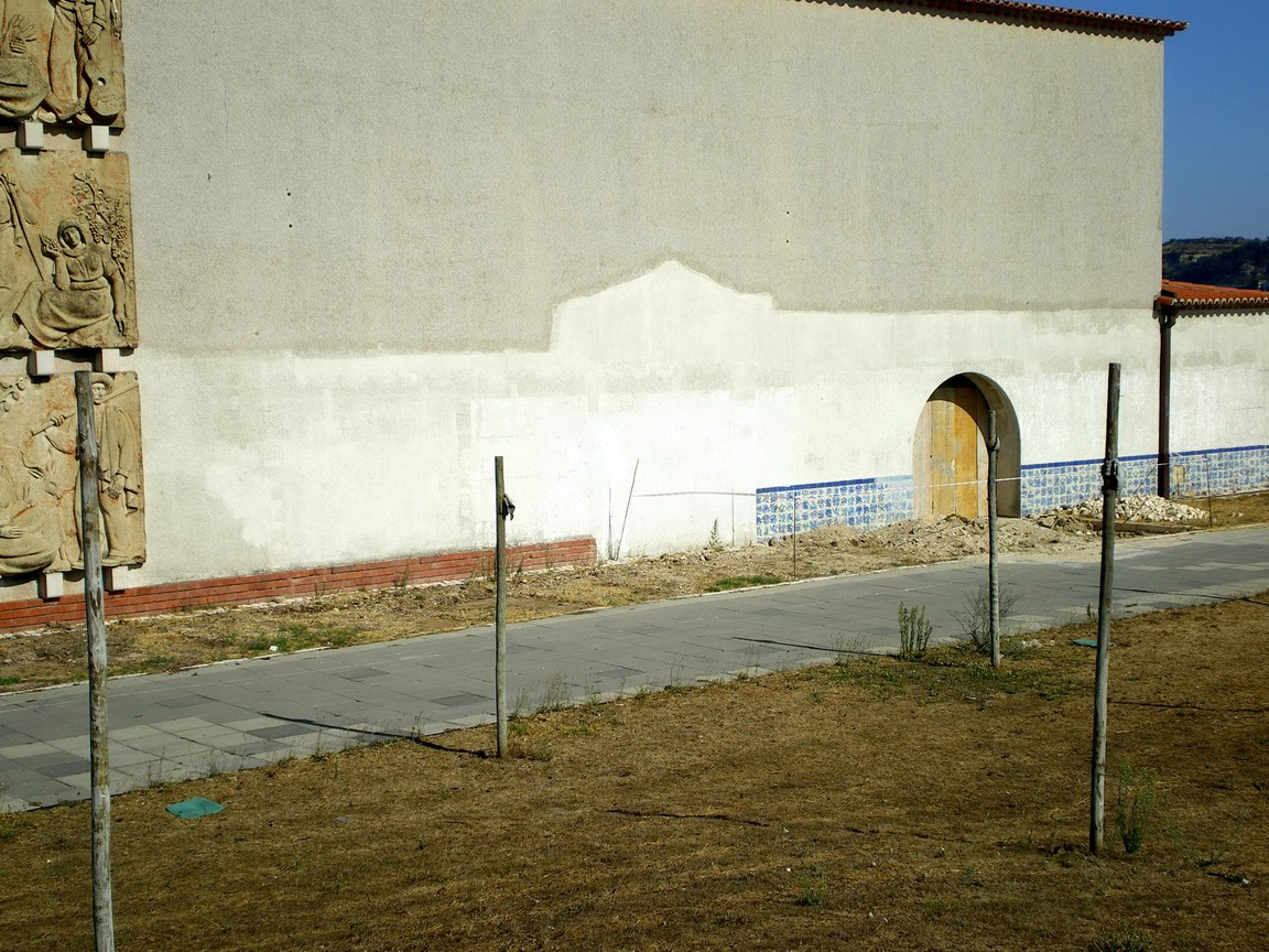 [IMGP3594_resize.JPG]