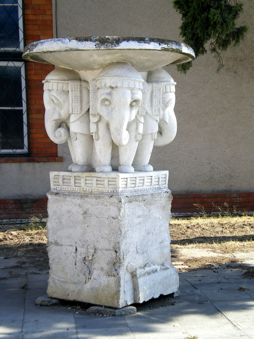 [IMGP3586_resize.JPG]