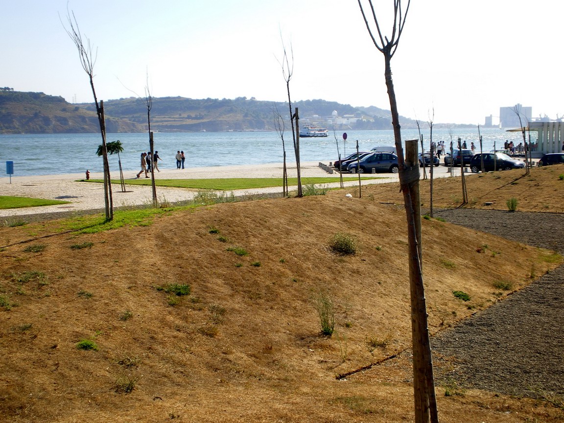 [IMGP3591_resize.JPG]