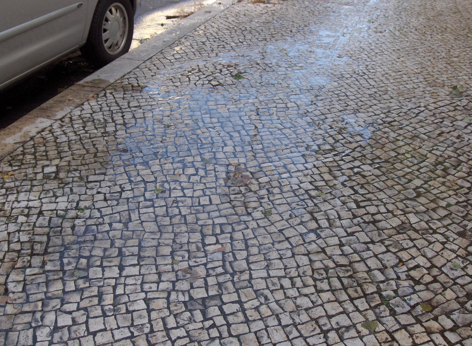 [Lisboa+SOS+II+005.jpg]