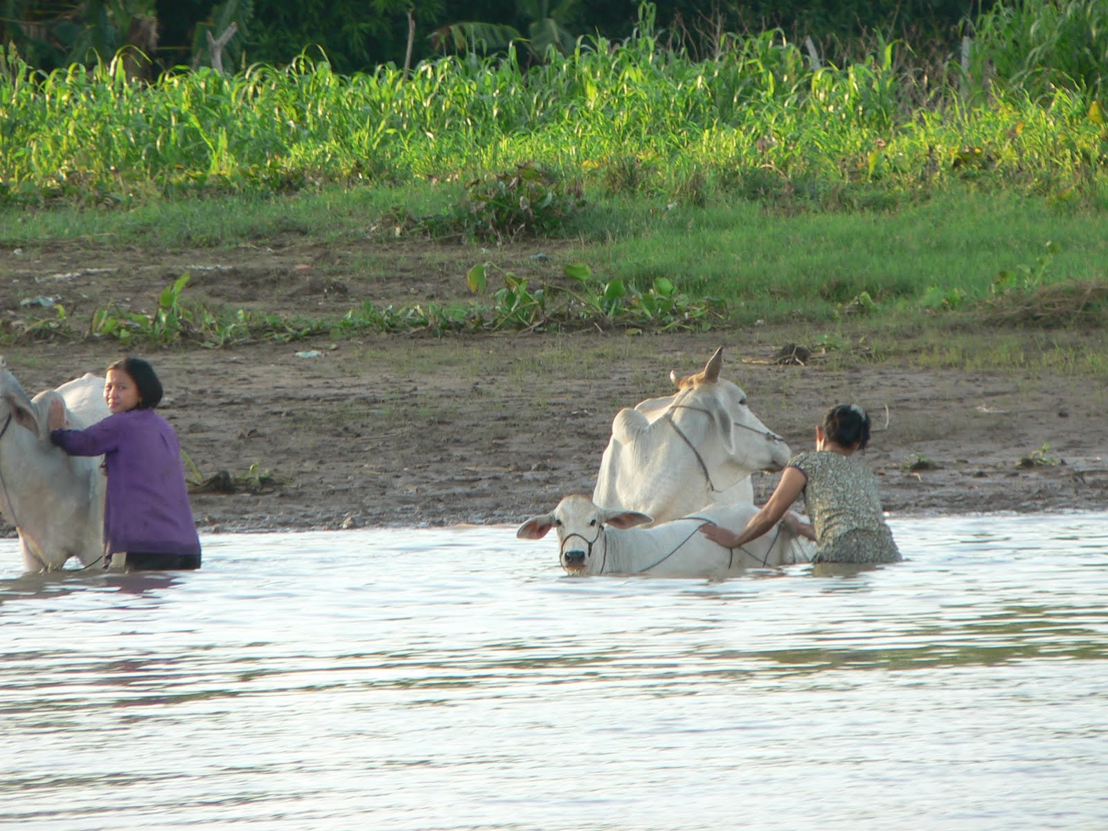 [P1650164.JPG]