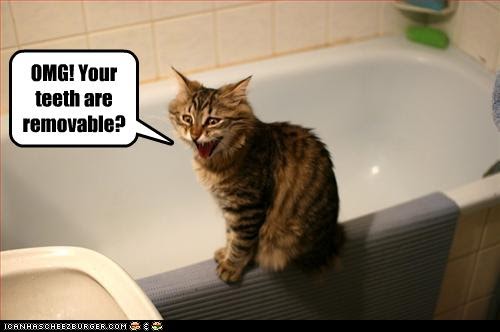 Thinking Pink: Top Five LOL Cats of the Day