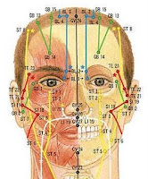 chartMeridianFace.jpg