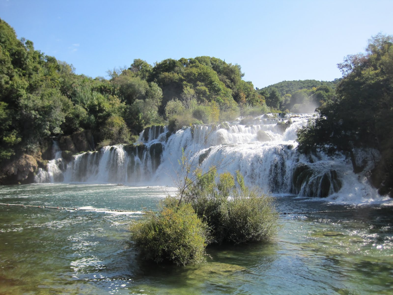 [IMG_1659.jpg]