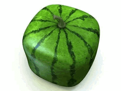 http://3.bp.blogspot.com/_BdeURAor9Ns/SjZBNrfUyYI/AAAAAAAAAN8/aZNh-bVeAiY/s400/square-watermelon.gif