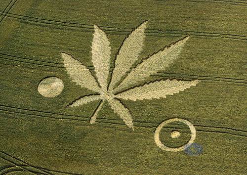 [Crop-Circles.jpg]