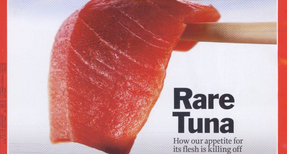 The Last Shark Time Rare Tuna