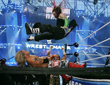jeff hardy ladder match