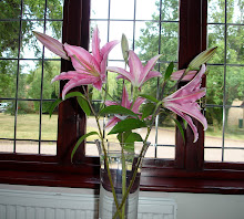 'Lily the Pink'